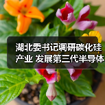 湖北委书记调研碳化硅产业 发展第三代半导体助力新能源（图2）