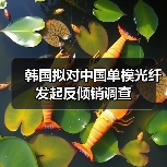 韩国拟对中国单模光纤发起反倾销调查(图4) 韩国拟对中国单模光纤发起反倾销调查(图4)
