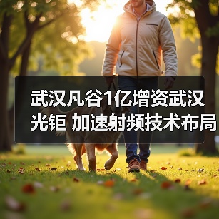 武汉凡谷1亿增资武汉光钜 加速射频技术布局(图4) 武汉凡谷1亿增资武汉光钜 加速射频技术布局(图4)