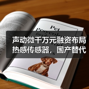声动微千万元融资布局热感传感器，国产替代如何实现？（图3）