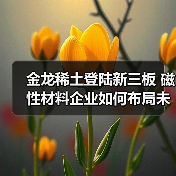 金龙稀土登陆新三板 磁性材料企业如何布局未来？（图1）