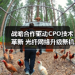 战略合作驱动CPO技术革新 光纤网络升级新机遇（图1）
