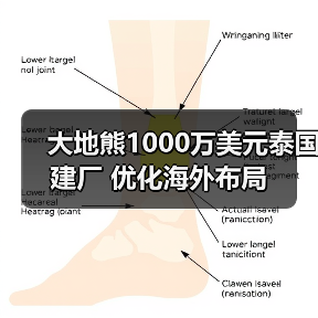 大地熊1000万美元泰国建厂 优化海外布局（图1）