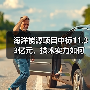 海洋能源项目中标11.33亿元，技术实力如何体现？（图1）