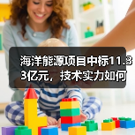 海洋能源项目中标11.33亿元，技术实力如何体现？（图2）
