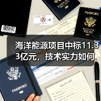 海洋能源项目中标11.33亿元，技术实力如何体现？（图3）