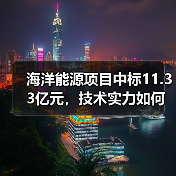 海洋能源项目中标11.33亿元，技术实力如何体现？（图4）