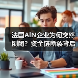 法国AlN企业为何突然倒闭？资金链断裂背后真相（图2）