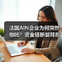 法国AlN企业为何突然倒闭？资金链断裂背后真相（图3）