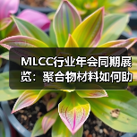 MLCC行业年会同期展览:聚合物材料如何助力电子产业发展?(图1) MLCC行业年会同期展览:聚合物材料如何助力电子产业发展?(图1)