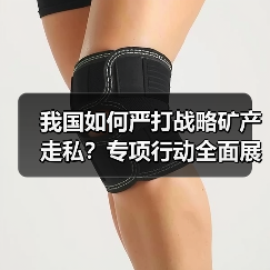 我国如何严打战略矿产走私？专项行动全面展开（图1）