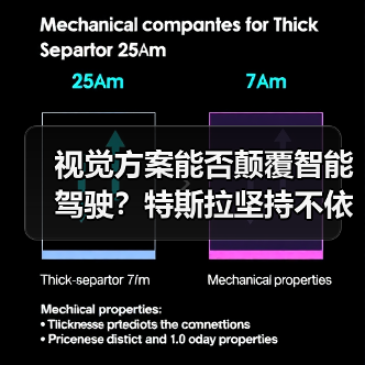 视觉方案能否颠覆智能驾驶？特斯拉坚持不依赖昂贵传感器路线（图2）
