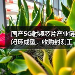 国产5G射频芯片产业链闭环成型,收购封测工厂如何助力突围?(图3) 国产5G射频芯片产业链闭环成型,收购封测工厂如何助力突围?(图3)