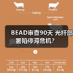 BEAD审查90天 光纤部署陷停滞危机？（图2）