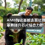 AMB陶瓷基板表面处理革新提升芯片结合力新专利解析(图3) AMB陶瓷基板表面处理革新提升芯片结合力新专利解析(图3)