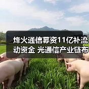 烽火通信募资11亿补流动资金 光通信产业链布局引关注（图4）