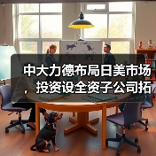 中大力德布局日美市场，投资设全资子公司拓展海外市场（图3）