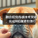 融合视觉传感技术突破,完成B轮融资引领行业(图2) 融合视觉传感技术突破,完成B轮融资引领行业(图2)