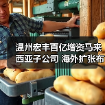 温州宏丰百亿增资马来西亚子公司 海外扩张布局加速?(图1) 温州宏丰百亿增资马来西亚子公司 海外扩张布局加速?(图1)