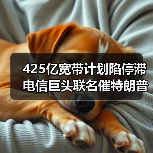 425亿宽带计划陷停滞 电信巨头联名催特朗普(图3) 425亿宽带计划陷停滞 电信巨头联名催特朗普(图3)