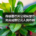 传感器芯片公司纵慧芯光完成数亿元人民币融资（图1）