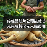 传感器芯片公司纵慧芯光完成数亿元人民币融资（图4）