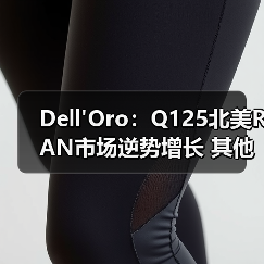 Dell'Oro：Q125北美RAN市场逆势增长 其他地区持续下滑（图1）