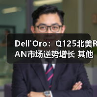 Dell'Oro：Q125北美RAN市场逆势增长 其他地区持续下滑（图2）