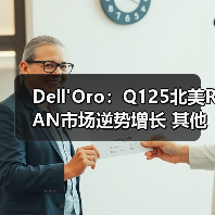 Dell'Oro：Q125北美RAN市场逆势增长 其他地区持续下滑（图3）