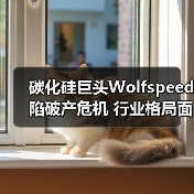 碳化硅巨头Wolfspeed陷破产危机 行业格局面临巨变（图1）