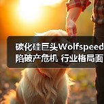 碳化硅巨头Wolfspeed陷破产危机 行业格局面临巨变（图3）