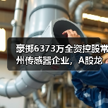 豪掷6373万全资控股常州传感器企业,A股龙头加速布局传感器赛道(图2) 豪掷6373万全资控股常州传感器企业,A股龙头加速布局传感器赛道(图2)