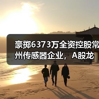 豪掷6373万全资控股常州传感器企业,A股龙头加速布局传感器赛道(图4) 豪掷6373万全资控股常州传感器企业,A股龙头加速布局传感器赛道(图4)