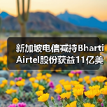 新加坡电信减持Bharti Airtel股份获益11亿美元，推进5G布局（图4）