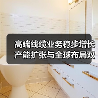 高端线缆业务稳步增长 产能扩张与全球布局双轨并行(图1) 高端线缆业务稳步增长 产能扩张与全球布局双轨并行(图1)