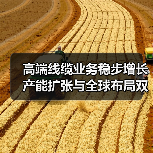 高端线缆业务稳步增长 产能扩张与全球布局双轨并行(图3) 高端线缆业务稳步增长 产能扩张与全球布局双轨并行(图3)