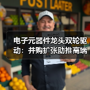 电子元器件龙头双轮驱动：并购扩张助推高端化转型（图1）