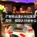 广东移动混合光缆集采招标,规模达38皮长公里!(图4) 广东移动混合光缆集采招标,规模达38皮长公里!(图4)
