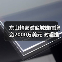 东山精密对盐城维信增资2000万美元 对超维微电子减资3000万美元(图4) 东山精密对盐城维信增资2000万美元 对超维微电子减资3000万美元(图4)