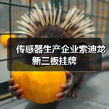 传感器生产企业索迪龙新三板挂牌（图2）