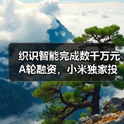 织识智能完成数千万元A轮融资,小米独家投资(图2) 织识智能完成数千万元A轮融资,小米独家投资(图2)
