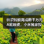 织识智能完成数千万元A轮融资,小米独家投资(图1) 织识智能完成数千万元A轮融资,小米独家投资(图1)