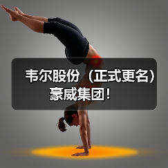 韦尔股份（正式更名）豪威集团！（图1）