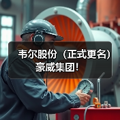 韦尔股份（正式更名）豪威集团！（图2）