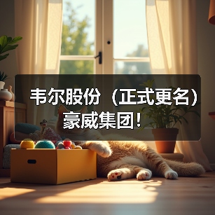 韦尔股份（正式更名）豪威集团！（图3）