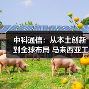 中科通信:从本土创新到全球布局 马来西亚工厂正式运营(图3) 中科通信:从本土创新到全球布局 马来西亚工厂正式运营(图3)