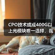 CPO技术或成400G以上光模块唯一选择,我国产业需警惕转型挑战(图1) CPO技术或成400G以上光模块唯一选择,我国产业需警惕转型挑战(图1)