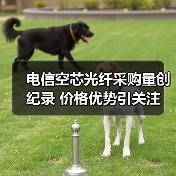 电信空芯光纤采购量创纪录 价格优势引关注(图3) 电信空芯光纤采购量创纪录 价格优势引关注(图3)