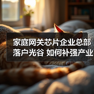 家庭网关芯片企业总部落户光谷 如何补强产业布局?(图1) 家庭网关芯片企业总部落户光谷 如何补强产业布局?(图1)