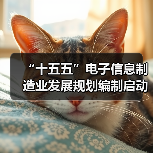 “十五五”电子信息制造业发展规划编制启动会在京召开(图4) “十五五”电子信息制造业发展规划编制启动会在京召开(图4)
